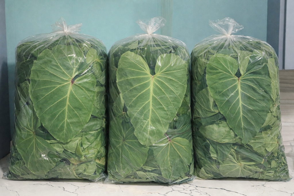Hawaii Organic Taro Leaf Bag (20LBS)