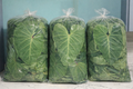 Hawaii Organic Taro Leaf Bag (20LBS)